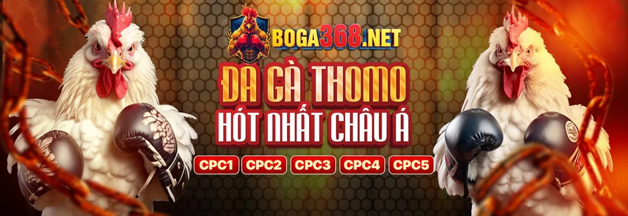 Đấu trường đá gà sôi động tại 23vin