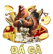 Hình ảnh minh họa các câu hỏi thường gặp với dấu hỏi và bong bóng suy nghĩ, hỗ trợ khách hàng tại 23vin khuyến mãi