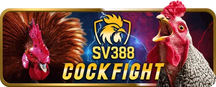 Ưu đãi hoàn trả 23vin VIP